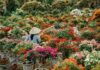 The Magic of Ben Tre: Unveiling Vietnam’s Longest Flower Road