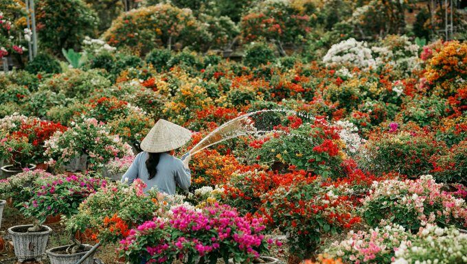 The Magic of Ben Tre: Unveiling Vietnam’s Longest Flower Road