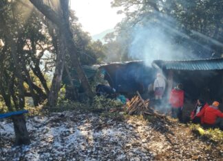 A Winter Wonderland: Vietnamese Tourists Delight in the Season’s First Snowfall