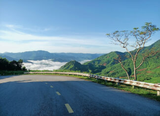 The Ultimate Guide to Cloud-Chasing in Quang Ngai: An Early Bird’s Adventure Beyond the Cold for the Perfect Check-In.