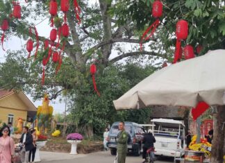 Spring Excursion to the Ancient Village: Captivated by Breathtaking Scenery and Mouthwatering Delicacies