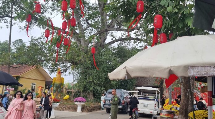 Spring Excursion to the Ancient Village: Captivated by Breathtaking Scenery and Mouthwatering Delicacies