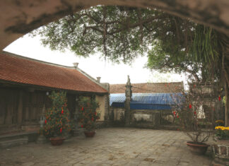 The Ancient Temple: A 100-Year-Old ‘Green Treasure’ Just 70km from Hanoi