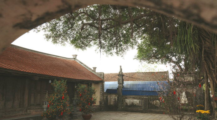 The Ancient Temple: A 100-Year-Old ‘Green Treasure’ Just 70km from Hanoi