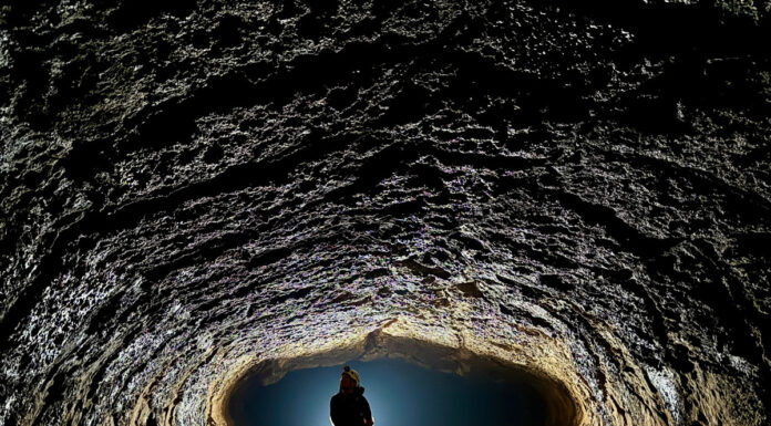 Unveiling the ‘Castle-like’ Cave in the Forests of Dong Nai