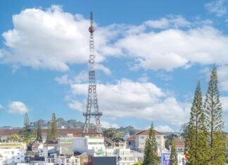 The Purple Phoenix: A Romantic Escape in Dalat that has Youth Captivated