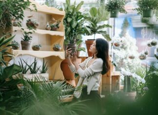 The New Old: Gen Z’s Revival of Nostalgic Hobbies