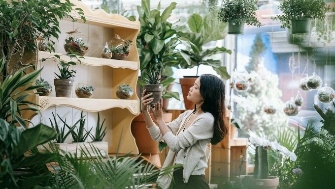 The New Old: Gen Z’s Revival of Nostalgic Hobbies