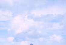 The Island Explorer: Unveiling the Secrets of Con Dao on a Budget