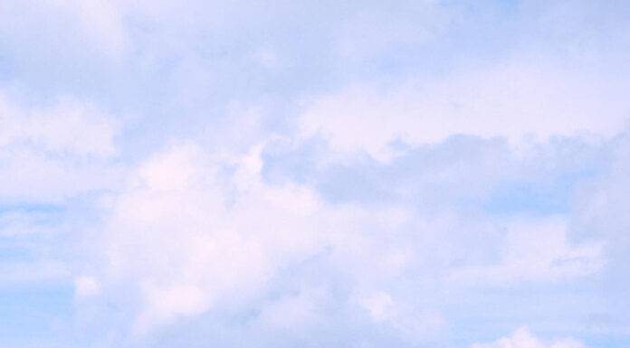 The Island Explorer: Unveiling the Secrets of Con Dao on a Budget