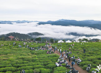 The Ultimate Travel Destinations: Exploring the Merged Regions of Lâm Đồng, Bình Thuận, and Đắk Nông