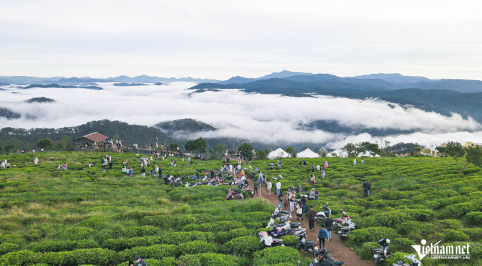 The Ultimate Travel Destinations: Exploring the Merged Regions of Lâm Đồng, Bình Thuận, and Đắk Nông