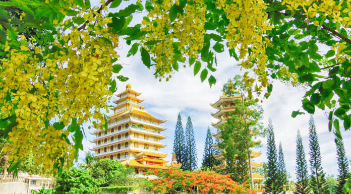 The Ultimate Tropical Escape: Discover the Best of Both Worlds in the Newly Merged Province