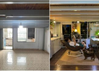 The Ultimate Guide to Home Transformation: Gen Z’s Magical Makeover from Drab to Fab