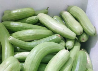 Delicious Delicacy from Bac Ninh: Crispy and Chewy with a Versatile Twist