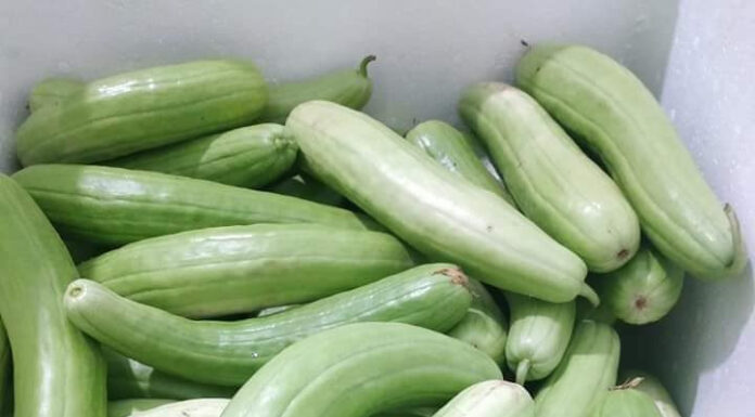 Delicious Delicacy from Bac Ninh: Crispy and Chewy with a Versatile Twist