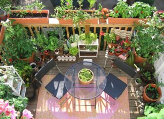 The Magic of Transforming Your Balcony into a Lush Green Garden