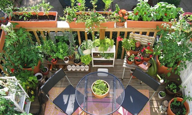 The Magic of Transforming Your Balcony into a Lush Green Garden