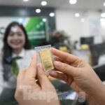 The Price of Gold Takes a Steep Tumble