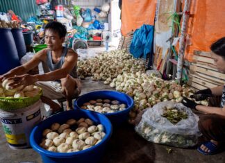 The 300-Year-Old Salted Mustard Greens Tradition of a Hanoi Village