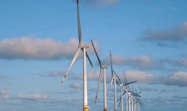 “Recharge with the ‘Vitamin Sea’ at Ba Dong Beach: A Pristine Paradise of Peace and Beauty”