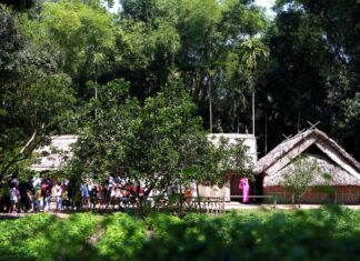 A Nation’s Tribute: Thousands Flock to Uncle Ho’s Homeland