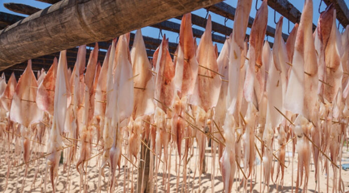 The Ultimate Guide to Phan Thiet’s Delicacies: A Tasty Tour of the World’s Best Squid Dishes
