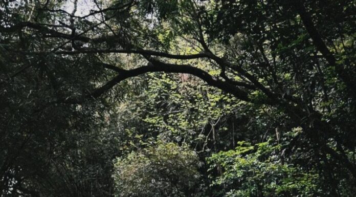 10 Effective Weight Loss Methods for 2024: Tip #2 Helps Shed 10kg in 6 Months!