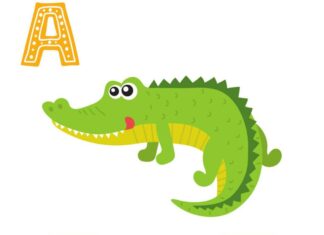 The Ultimate Guide to Teaching Your Toddler: 20 Fun Animal Flashcards to Learn the English Alphabet (Part 1)