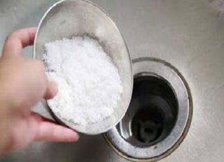 Pour Salt Down the Drain: A Magical Fix You Need to Know About