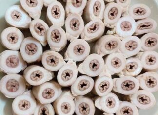 “The Ultimate Guide to Authentic Cigar Differentiation: Protect Your Wallet from Visual Deception”