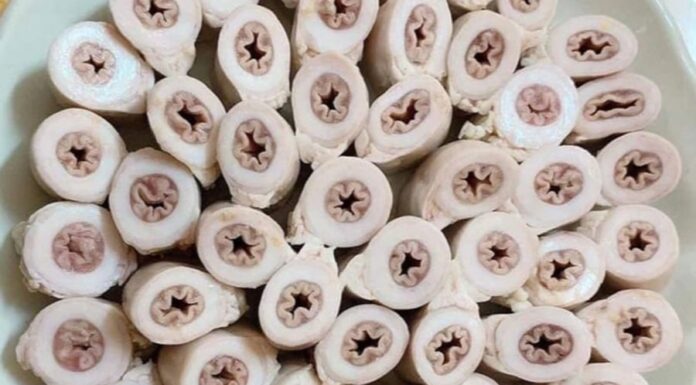 “The Ultimate Guide to Authentic Cigar Differentiation: Protect Your Wallet from Visual Deception”