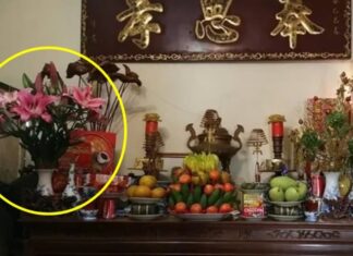 Why Do the Rich Always Place Vases on the Left When Burning Incense? The Surprising Reason Isn’t Superstition.