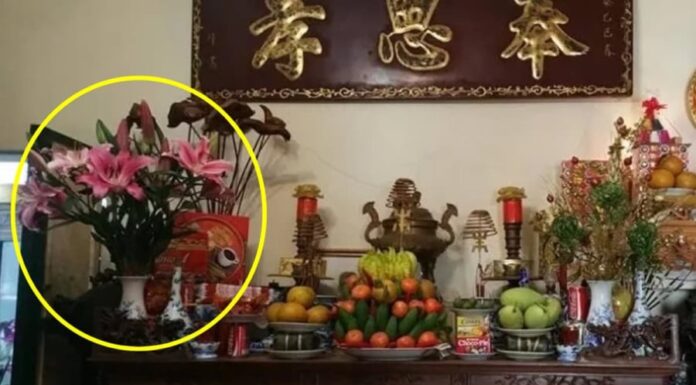 Why Do the Rich Always Place Vases on the Left When Burning Incense? The Surprising Reason Isn’t Superstition.