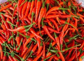 High Cholesterol Leads to Heart Disease and Stroke, but This Affordable Fruit, Sold in Vietnamese Markets, is a Natural Enemy