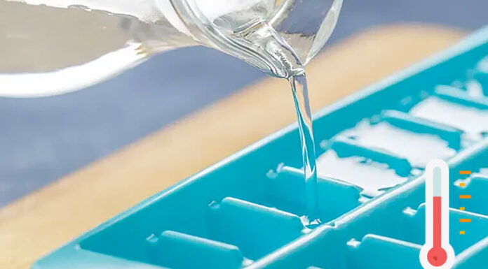 3 Quick Tips to Double Your Freezer’s Efficiency and Cut Energy Costs