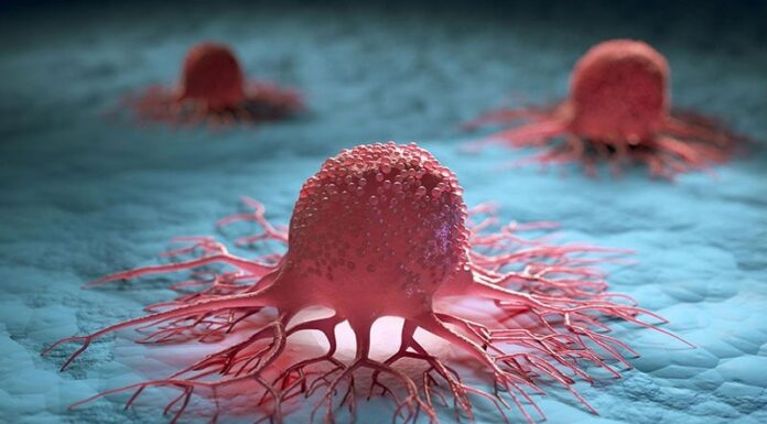 The Ultimate Guide to Cancer-Fighting Oils: Experts Reveal the Top 2 Oils to Cut Your Cancer Risk in Half