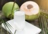 Does Coconut Water Help Acid Reflux? – Expert Reveals All