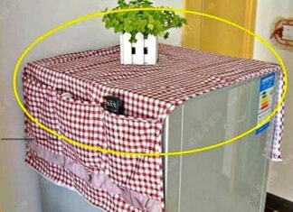 3 Things You Should Never Put on Top of Your Fridge if You Want to Save Energy and Prolong Its Lifespan