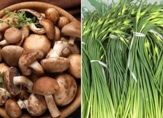 The Ultimate Guide to Pesticide-Free Produce: 5 Fresh and Tasty Veggies for a Healthy You