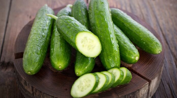 5 Compelling Reasons to Make Cucumbers Your Go-To Summer Snack