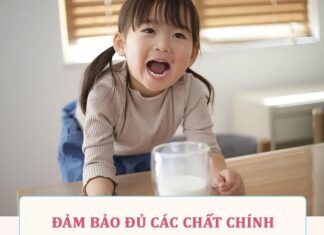 5 Golden Rules for Moms to Create a Fun and Nutritious Menu for Toddlers Aged 1-3