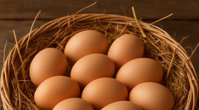 “5 Times to Avoid Eating Eggs: Are You Unknowingly Harming Your Health?”