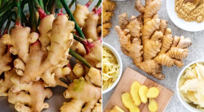 The Healing Powers of Ginger: Why Those with These 6 Conditions Should Refrain