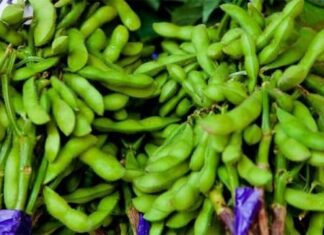 “4 Super Veggies with More Calcium Than Milk: Prevent Osteoporosis in Your Golden Years”