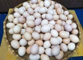 Who Should Avoid Eating Chicken and Duck Eggs? Experts Warn These Groups.