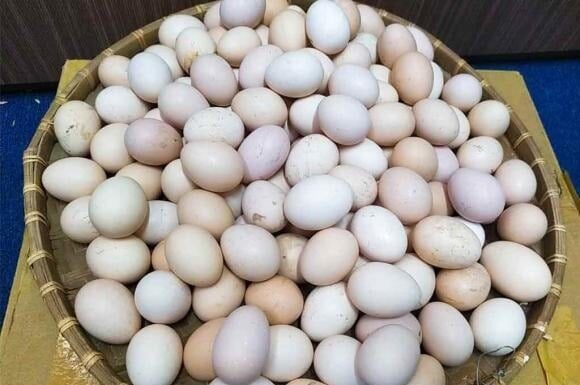 Who Should Avoid Eating Chicken and Duck Eggs? Experts Warn These Groups.