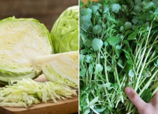 7 Types of Cruciferous Vegetables: Natural Antibiotics and Cancer-Fighting Superheroes