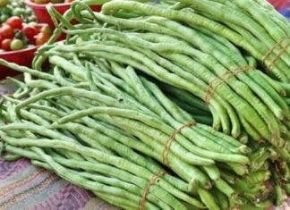 4 Types of Vegetables You Should Blanch Before Consumption to Prevent Kidney Stone Buildup