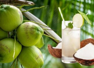 Is Drinking Coconut Water Daily Good for You? Uncover 9 Health Benefits.